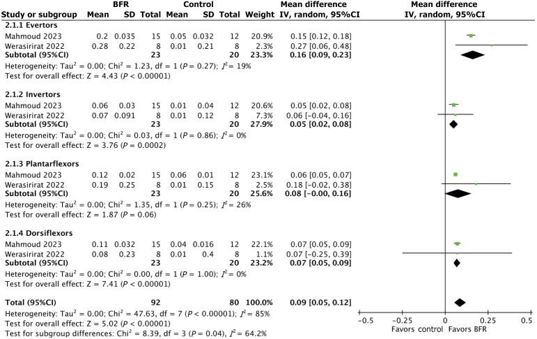 Effect of blood flow restriction on muscle strength and stability following foot and ankle injury: A systematic review.