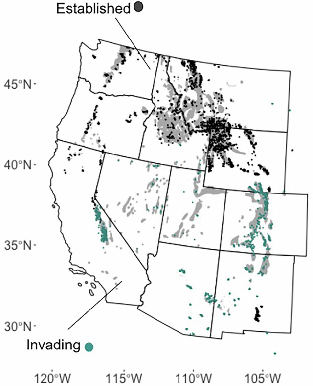 RustMapper: White Pine Blister Rust Risk Across High Elevation Forests in the Western United States.