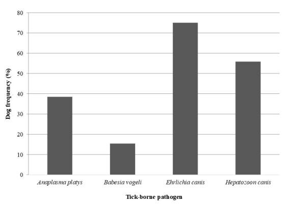 Molecular survey of tick-borne pathogens in domestic dogs from a rural region within the buffer zone of a conservation unit in the Brazilian Caatinga biome.