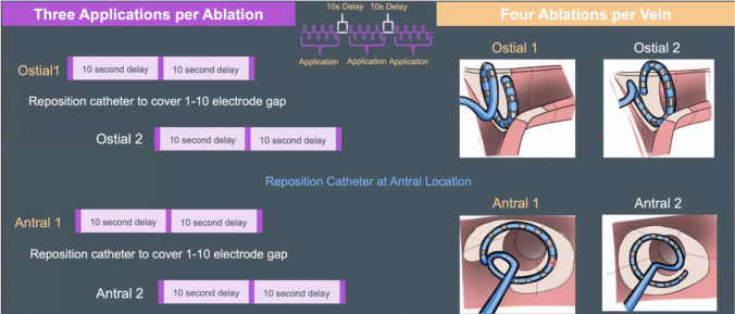 Near-zero fluoroscopy workflow for pulmonary vein isolation in atrial fibrillation using a variable loop, 3D-integrated circular PFA catheter (Varipulse™): initial single-center experience with the first 35 patients.
