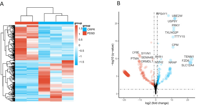 Integrative Analysis of <sup>18</sup>F-FDG PET Radiomics and mRNA Expression in Recurrent/Metastatic Oral Squamous Cell Carcinoma: A Cross-Sectional Study.