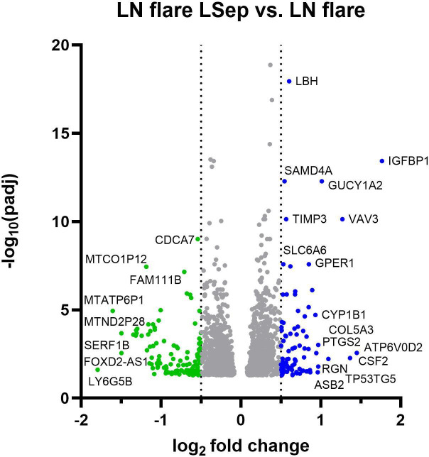 Lupus nephritis serum induces changes in gene expression in human glomerular endothelial cells, which is modulated by L-sepiapterin: implications for redox-mediated endothelial dysfunction.