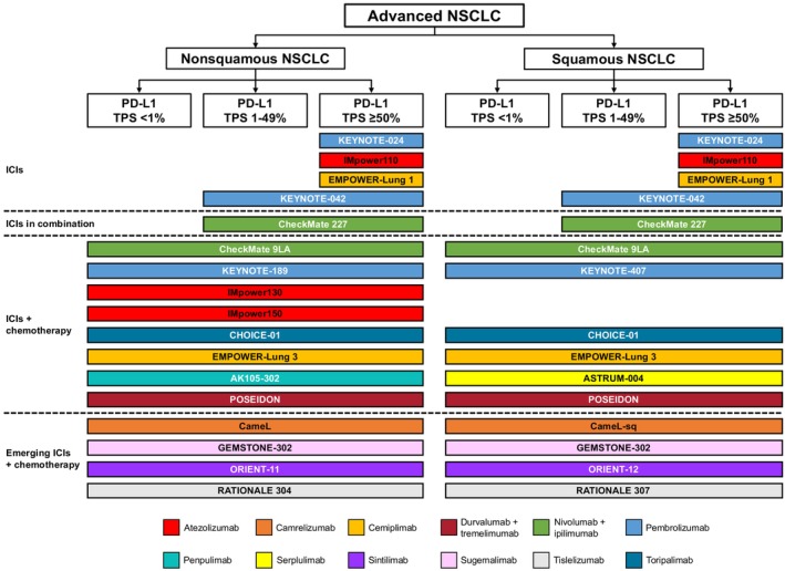 Immune Checkpoint Inhibitor-Based Therapy as the First-Line Treatment for Advanced Non-Small Cell Lung Cancer: Efficacy, Challenges, and Future Perspectives.