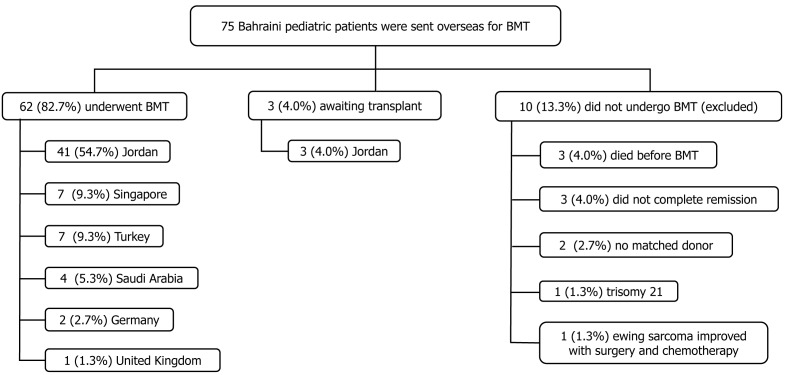Characteristics and outcomes of Bahraini pediatric patients sent abroad for bone marrow transplantation: A ten-year retrospective cohort study.