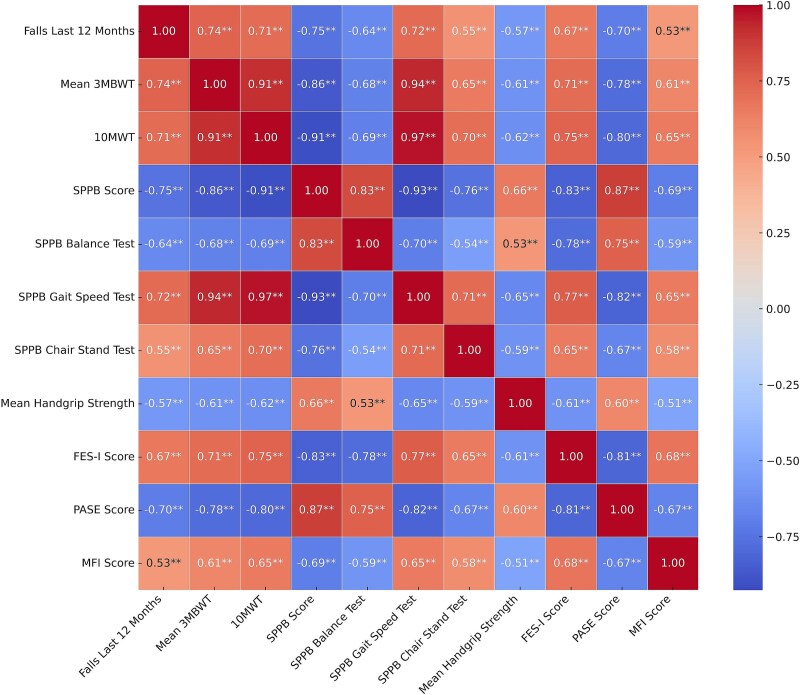Intrarater and Interrater Reliability and Concurrent Validity of the 3-Meter Backward Walk Test in Non-frail, Pre-frail, and Frail Older Adults in Residential Care Homes.