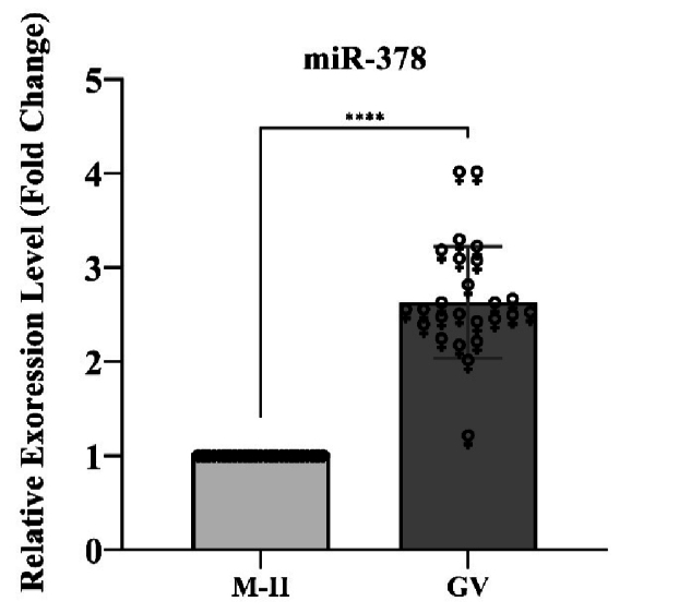 Evaluation of frizzled class receptor 3 and miR-378 expression levels in cumulus cells of polycystic ovary syndrome women: A case-control study.
