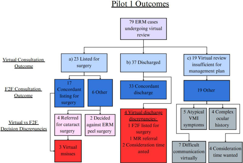 Virtual vitreoretinal clinics: a service delivery pathway of the future.
