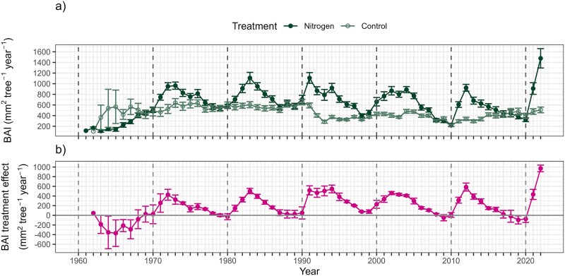 Repeated nitrogen fertilization enhances Scots pine growth and carbon uptake without persistent long-term effects in boreal forests.