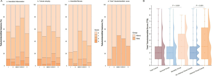 Total Tubulointerstitial Score: a simple and effective predictor of long-term mortality and adverse renal outcomes in lupus nephritis.