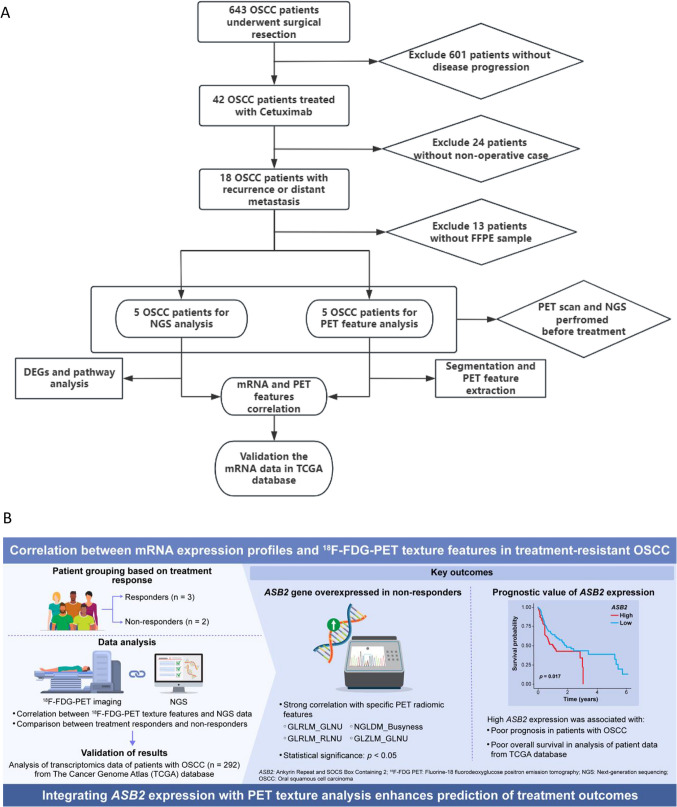 Integrative Analysis of <sup>18</sup>F-FDG PET Radiomics and mRNA Expression in Recurrent/Metastatic Oral Squamous Cell Carcinoma: A Cross-Sectional Study.