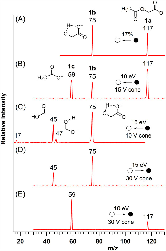 Competing fragmentation processes of <i>O</i>-acetyl-substituted carboxylate anions subjected to collision-induced dissociation.
