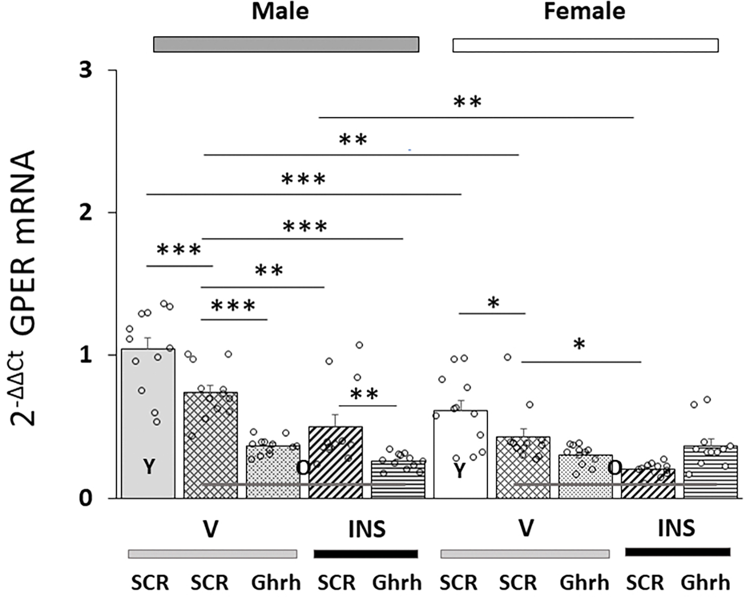 Aging Effects on Absolute and Relative Estrogen Receptor Variant Gene Expression Levels in Male Versus Female Rat Ventromedial Hypothalamic Nucleus Growth Hormone-Releasing Hormone Neurons.