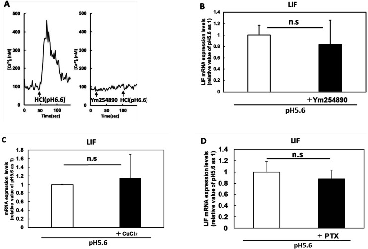 Low pH induces amiloride-sensitive expression of leukemia inhibitory factor in endometrial cells.