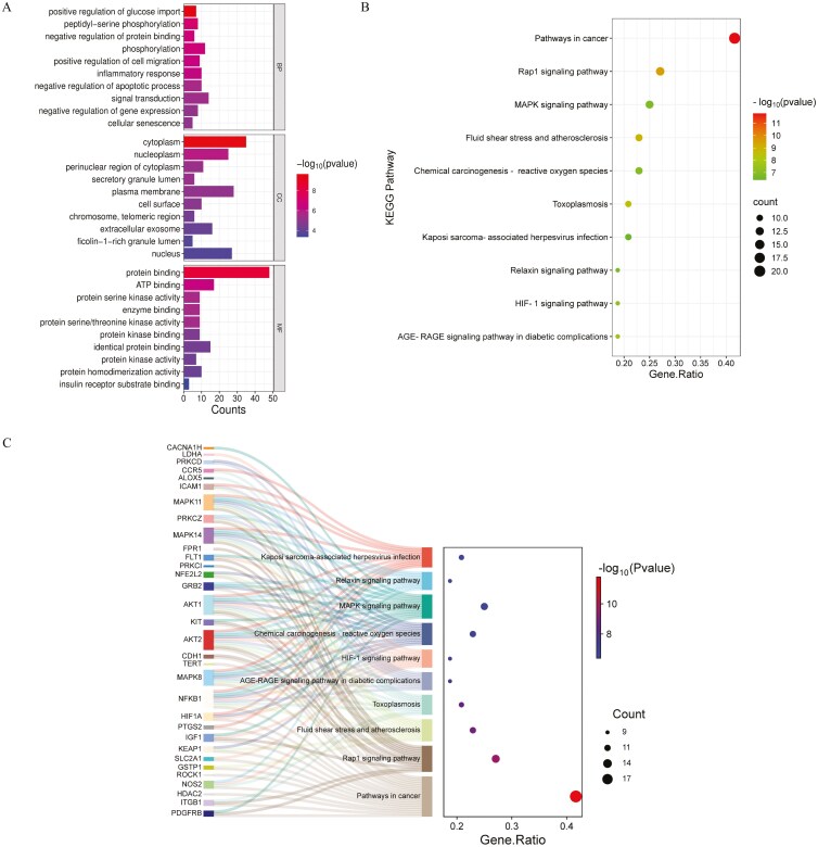 Molecular targets of vortioxetine mediating glioblastoma suppression revealed by gene and protein network analyses and molecular docking simulations.