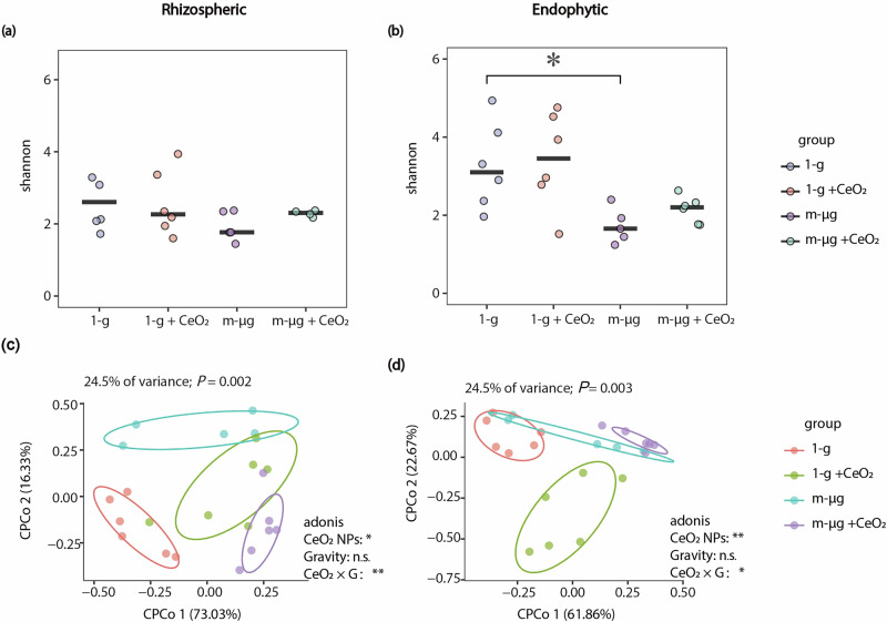 CeO<sub>2</sub> nanomaterial regulates wheat endophytic and rhizospheric bacteria to enhance resistance under simulated microgravity stress.