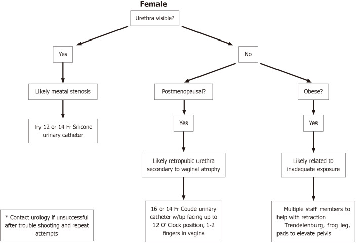 Improving outcomes in foley catheterization: A retrospective review with a proposed protocol.