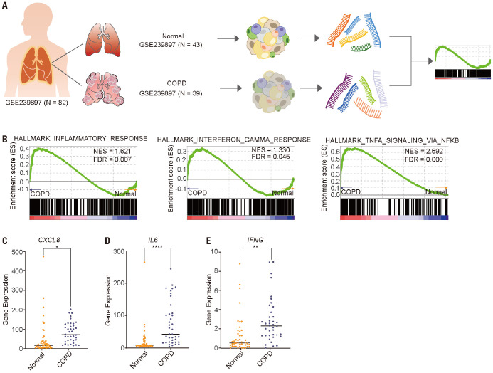 Dynamics of T Cell-Mediated Immune Signaling Network During Pathogenesis of Chronic Obstructive Pulmonary Disease.