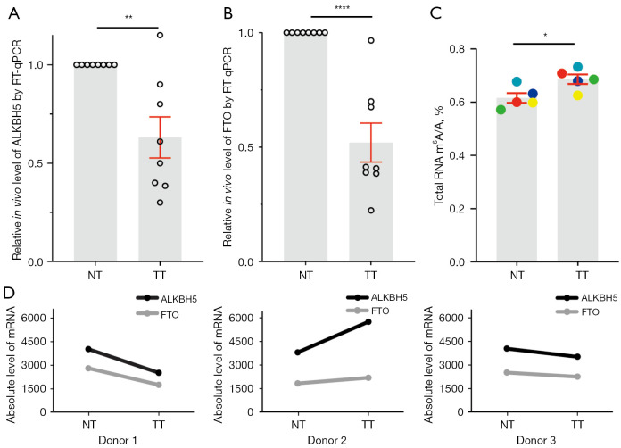 The 6-methyladenine erasers ALKBH5 and FTO influence chemotherapy efficiency in bladder cancer cell lines.