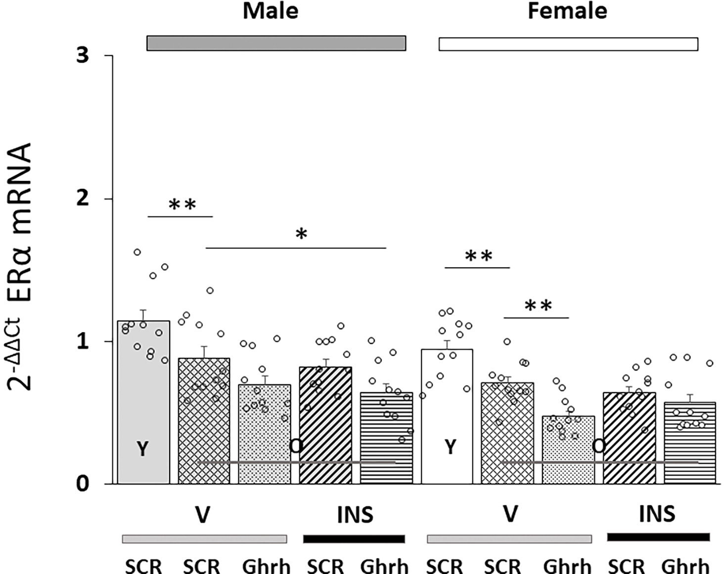 Aging Effects on Absolute and Relative Estrogen Receptor Variant Gene Expression Levels in Male Versus Female Rat Ventromedial Hypothalamic Nucleus Growth Hormone-Releasing Hormone Neurons.