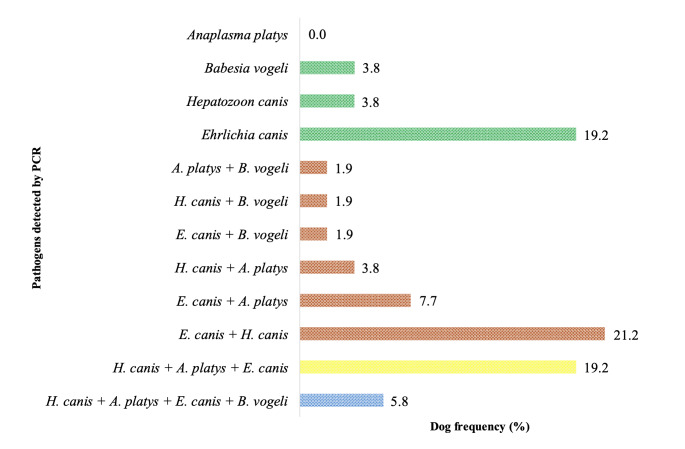 Molecular survey of tick-borne pathogens in domestic dogs from a rural region within the buffer zone of a conservation unit in the Brazilian Caatinga biome.