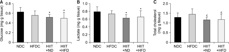 Effect of High-Intensity Interval Training on Mitigating High-Fat Diet-Induced Damage in Rat Testicular Tissue.