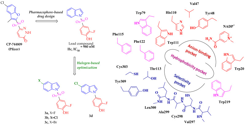 An Investigation of 5-Halogenated <i>N</i>-Indolylsulfonyl-2-fluorophenol Derivatives as Aldose Reductase Inhibitors.