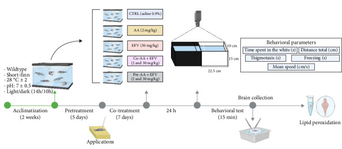 Ascorbic Acid Prevents Efavirenz-Induced Anxiety-Like Behavior and Brain Oxidative Stress in Zebrafish.