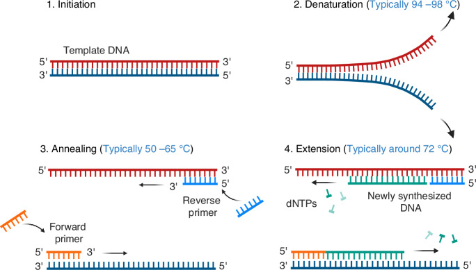 Nanomaterials in PCR: exploring light-to-heat conversion mechanisms and microfluidic integration.