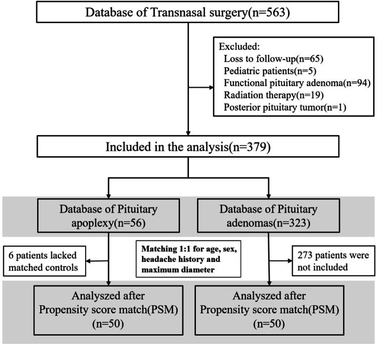 Long-term pituitary function following transsphenoidal surgery for non-functional pituitary neuroendocrine tumor with apoplexy: a single-center retrospective analysis.