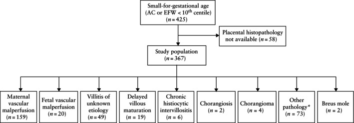 Placental biomarker and fetoplacental Doppler abnormalities are strongly associated with placental pathology in pregnancies with small-for-gestational-age fetus: prospective study.