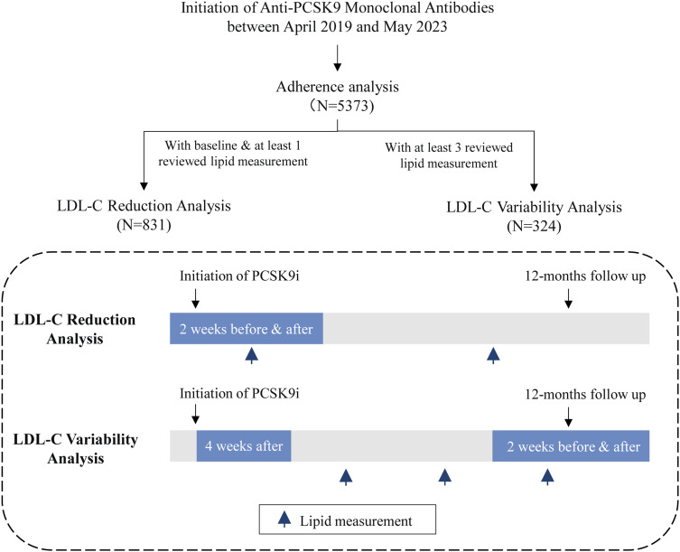 Real-World Assessment of the Association Between PCSK9i Adherence and LDL Reduction and Variability in a Chinese Clinical Practice.