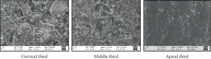 Abstract Image