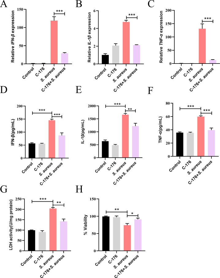 STING contributes to the inflammation and proliferation of <i>Staphylococcus aureus</i> via mitochondrial reactive oxygen species-hypoxic inducible factor 1α axis in epithelial cells.