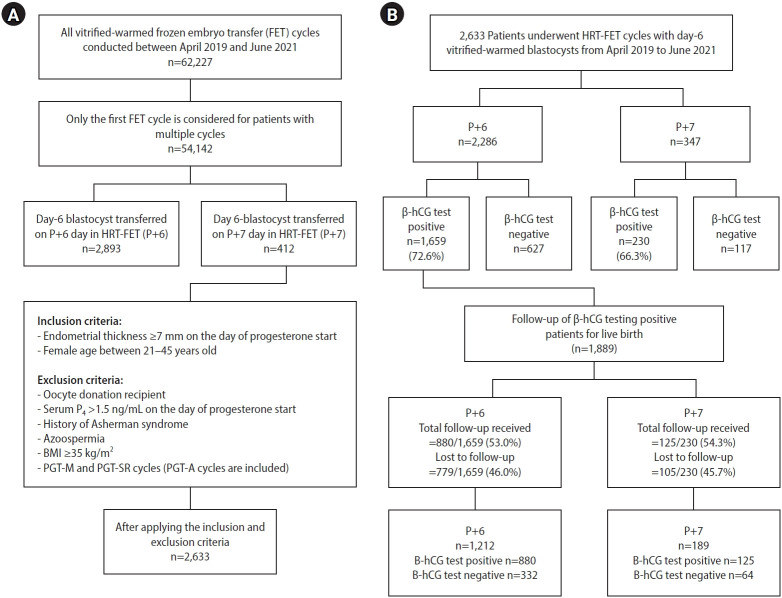 Comparison of live birth rates following the transfer of day-6 blastocysts on the 6th versus 7th day of progesterone exposure in hormone replacement treatment-frozen embryo transfer cycles.