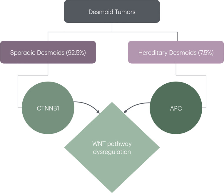 Updates and controversies for desmoids in familial adenomatous polyposis.