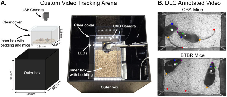 Quantifying social distance using deep learning-based video analysis: results from the BTBR mouse model of autism.