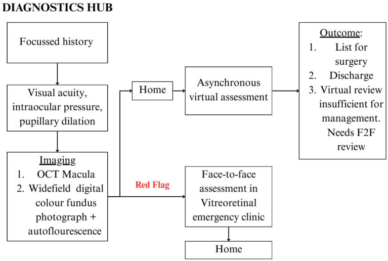 Virtual vitreoretinal clinics: a service delivery pathway of the future.