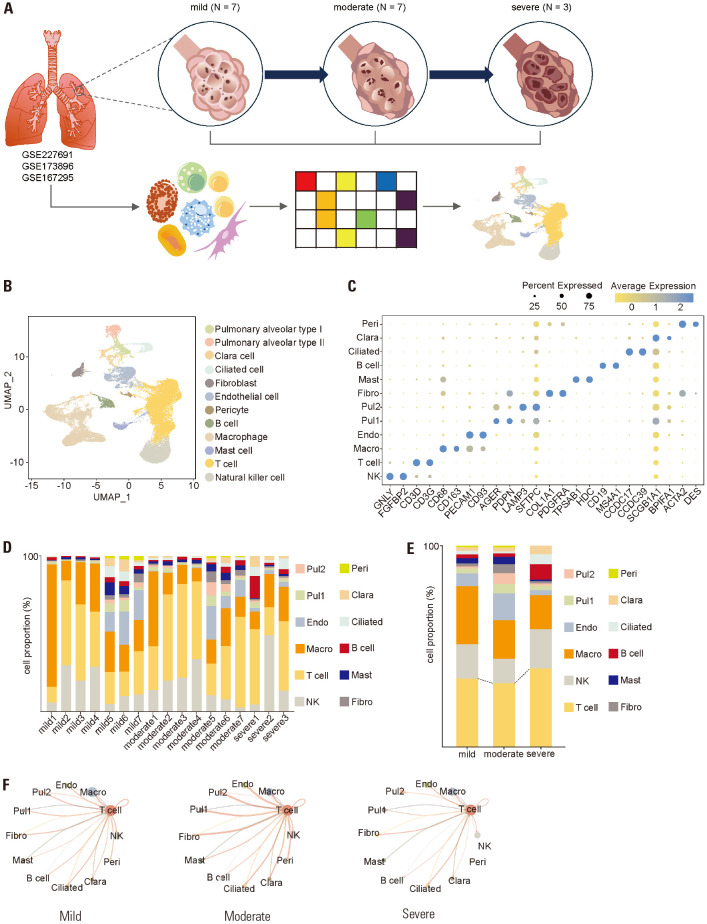 Dynamics of T Cell-Mediated Immune Signaling Network During Pathogenesis of Chronic Obstructive Pulmonary Disease.