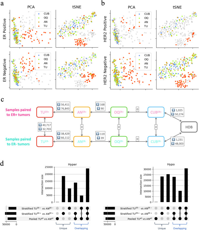 DNA methylation patterns in breast cancer, paired benign tissue from ipsilateral and contralateral breast, and healthy controls.