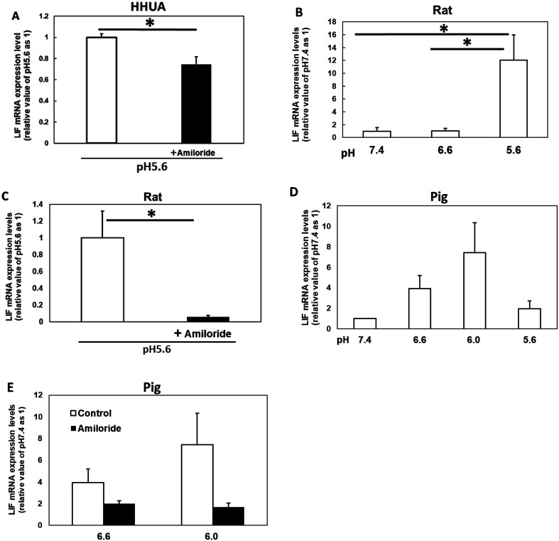 Low pH induces amiloride-sensitive expression of leukemia inhibitory factor in endometrial cells.