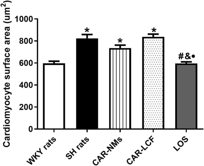 Encapsulation of Carvedilol in Nanomicelles Improves Central Hemodynamics and Target Organ Damage Protection in Spontaneously Hypertensive Rats.