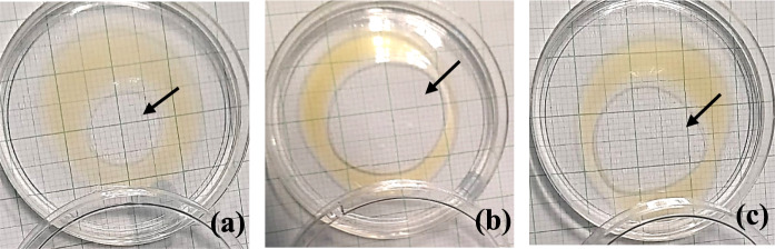 Influence of pH on the biodegradation efficiency of fats, oils, and grease by biosurfactant-producing bacterial consortia