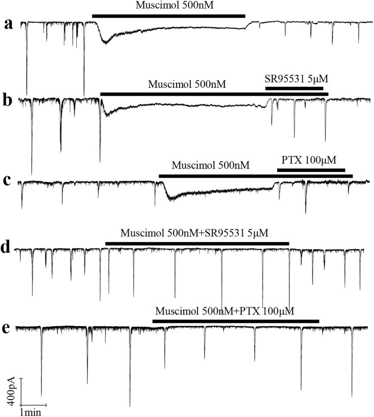Dopamine attenuates ethanol-induced neuronal apoptosis by stimulating electrical activity in the developing rat retina.