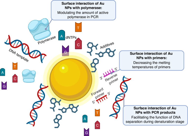 Nanomaterials in PCR: exploring light-to-heat conversion mechanisms and microfluidic integration.
