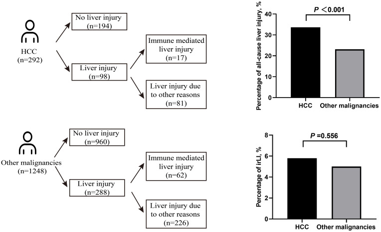 The Higher Incidence of Liver Injury in HCC Patients Compared to Other Malignancies During Immune-Checkpoint Inhibitor Therapy is Primarily Due to Tumor Progression.