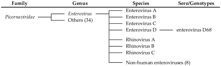 Advances in the Treatment of Enterovirus-D68 and Rhinovirus Respiratory Infections.