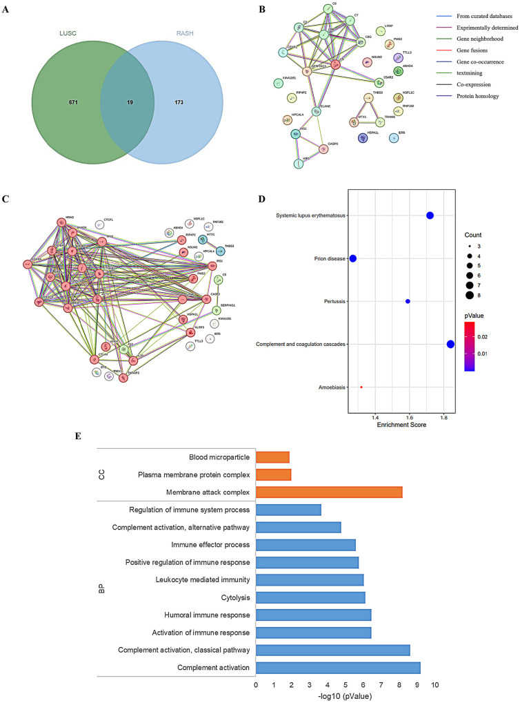 Causal Association Between Lung Cancer and Rash: A Bidirectional Mendelian Randomization Study.