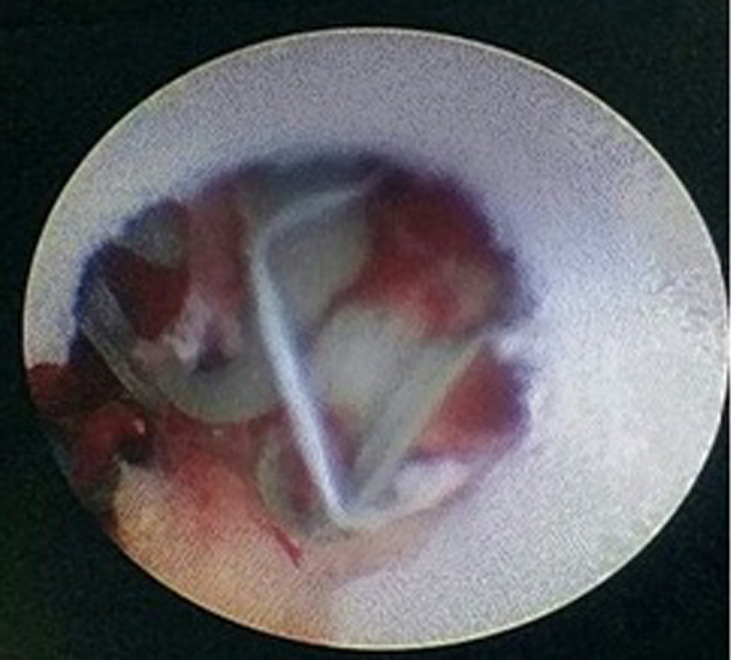 Abstract Image