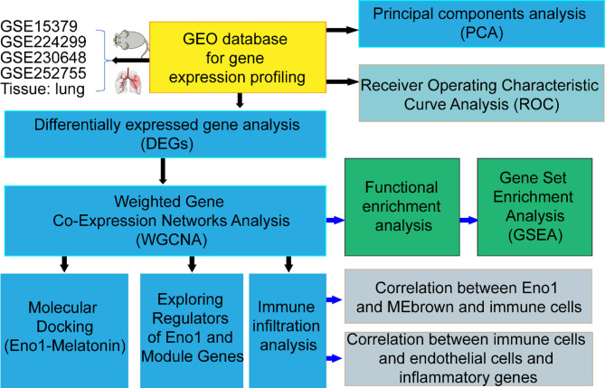 Eno1 in sepsis-induced coagulopathy: a pleiotropic mechanism hypothesis involving immunomodulation and endothelial dysfunction.