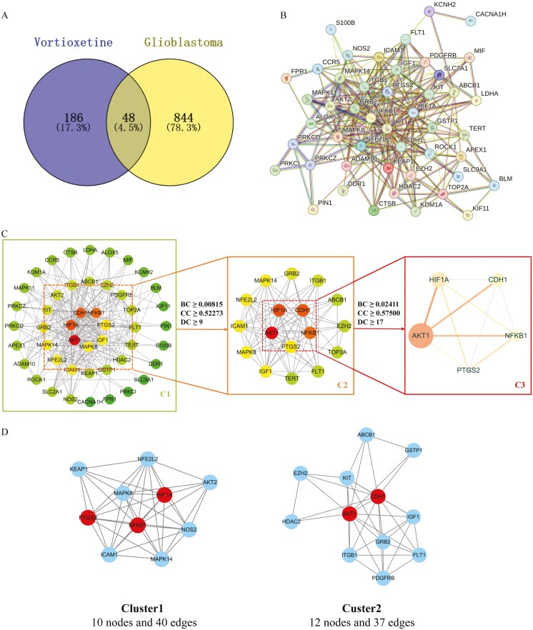 Molecular targets of vortioxetine mediating glioblastoma suppression revealed by gene and protein network analyses and molecular docking simulations.